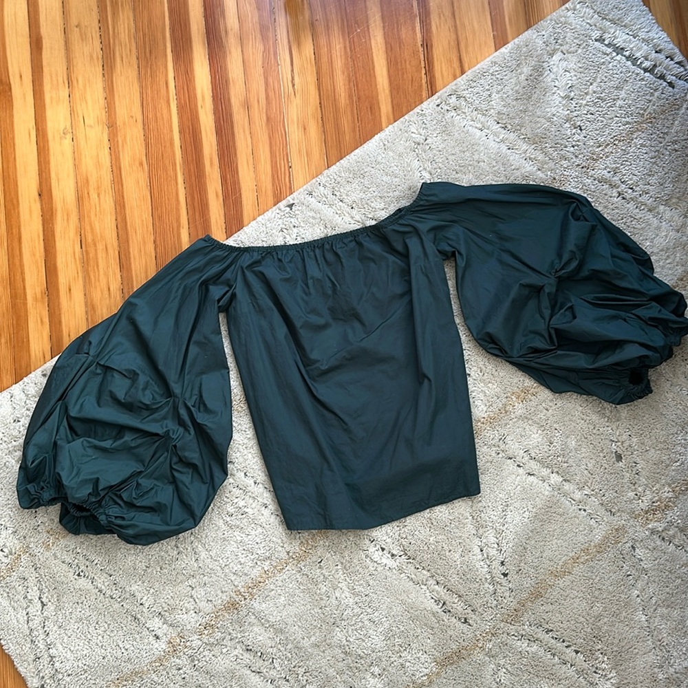 Dramatic Off the Shpulder Ruched Sleeve Shirt